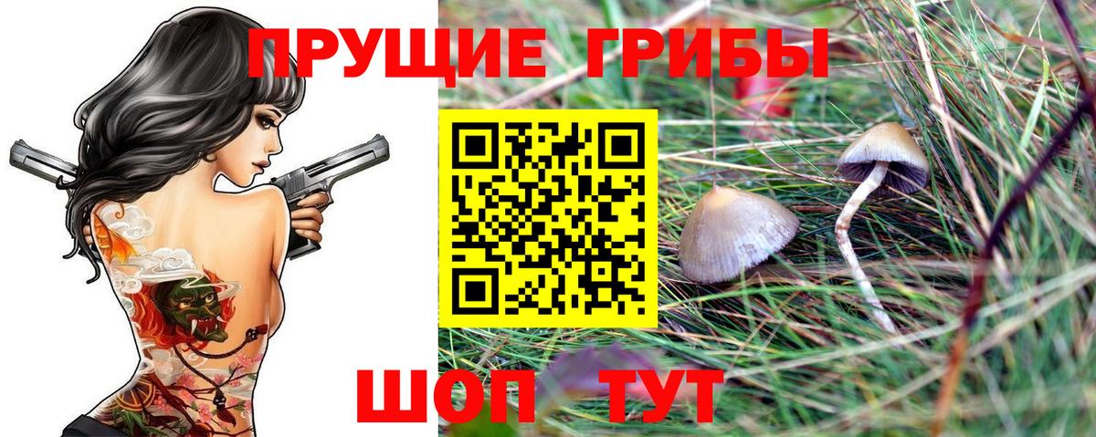 Галлюциногенные грибы Magic Shrooms Димитровград