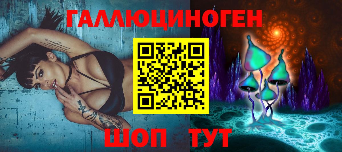 как найти наркотики  Псилоцибиновые грибы ЛСД  Вход с VPN  Димитровград 